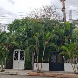 Downtown Mérida
